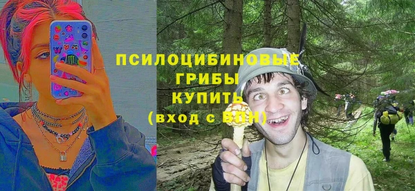 ГАЛЛЮЦИНОГЕННЫЕ ГРИБЫ Алексеевка