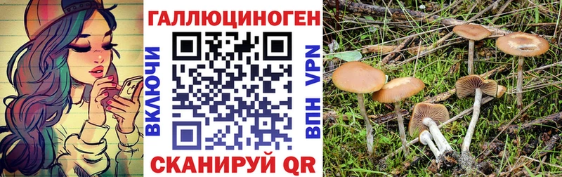 Галлюциногенные грибы Psilocybe Мураши