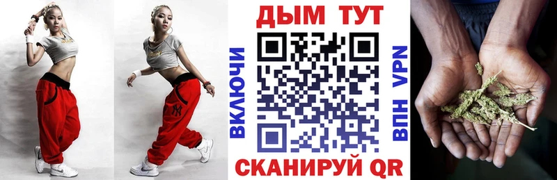 blacksprut сайт  Мураши  Каннабис индика 